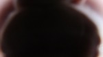 resIMG_20161029_180656_6427.JPG